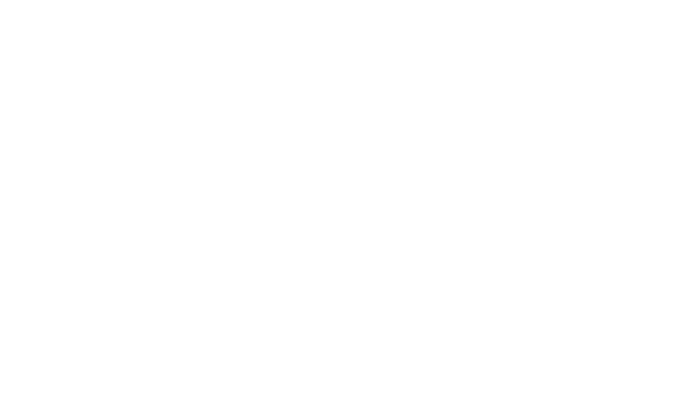 logo-pioneer-jeans